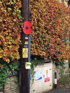 Remembrance Poppy in Kingham for Harvey Biles